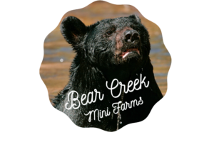 Bear Creek Mini Farms